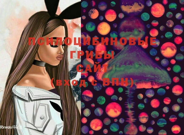 твердый Козловка