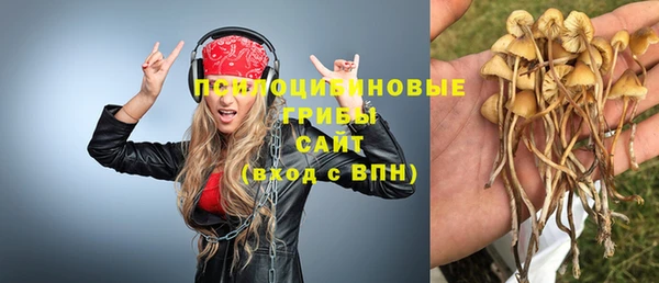 твердый Козловка