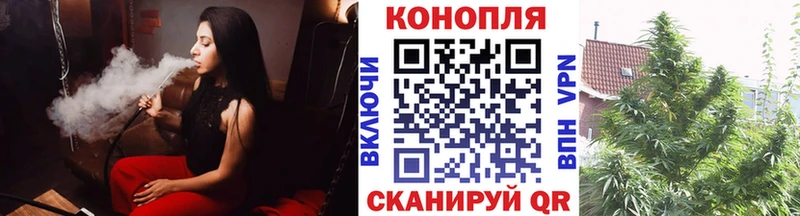 Шишки марихуана семена  Купить  Братск 